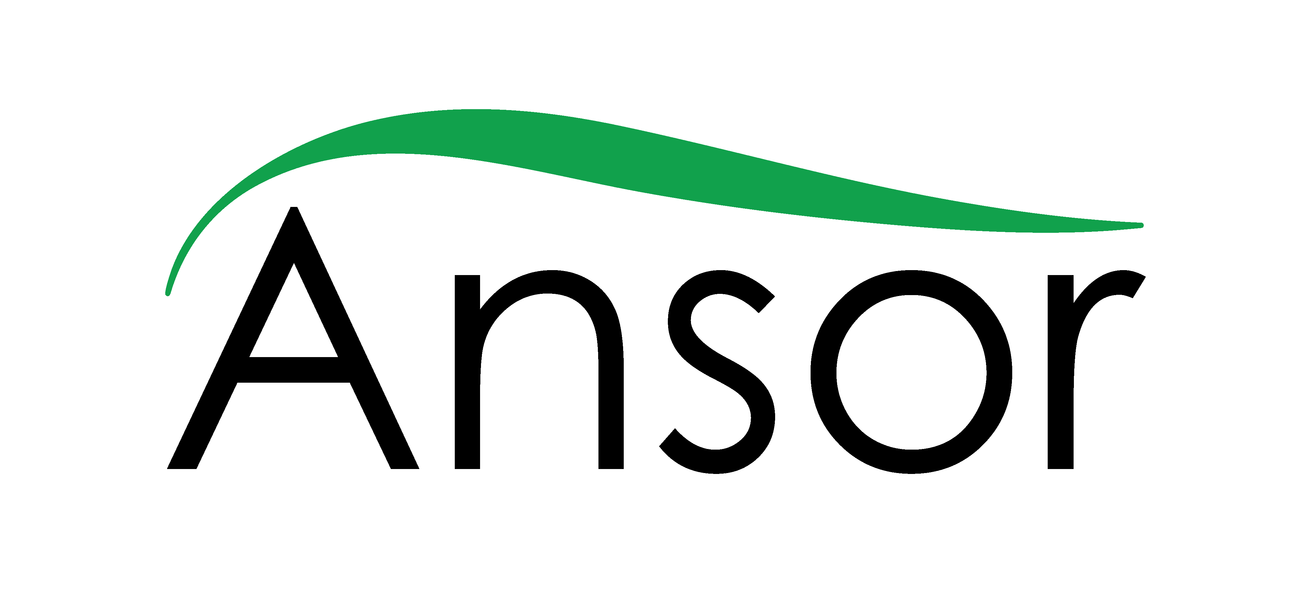 Ansor Capital